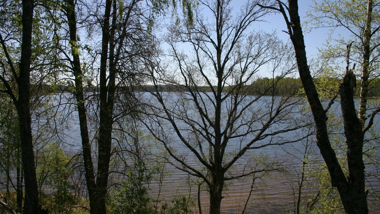 ähijärv