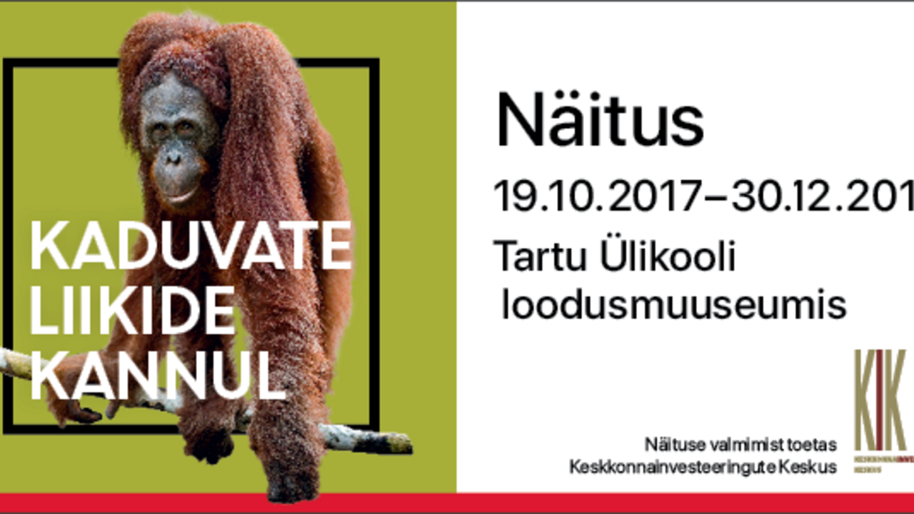 Näituse „Kaduvate liikide kannul“ visuaal
