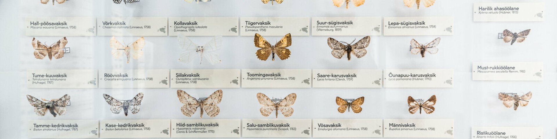 Loodusharidus - Tartu Ülikooli loodusmuuseum ja botaanikaaed