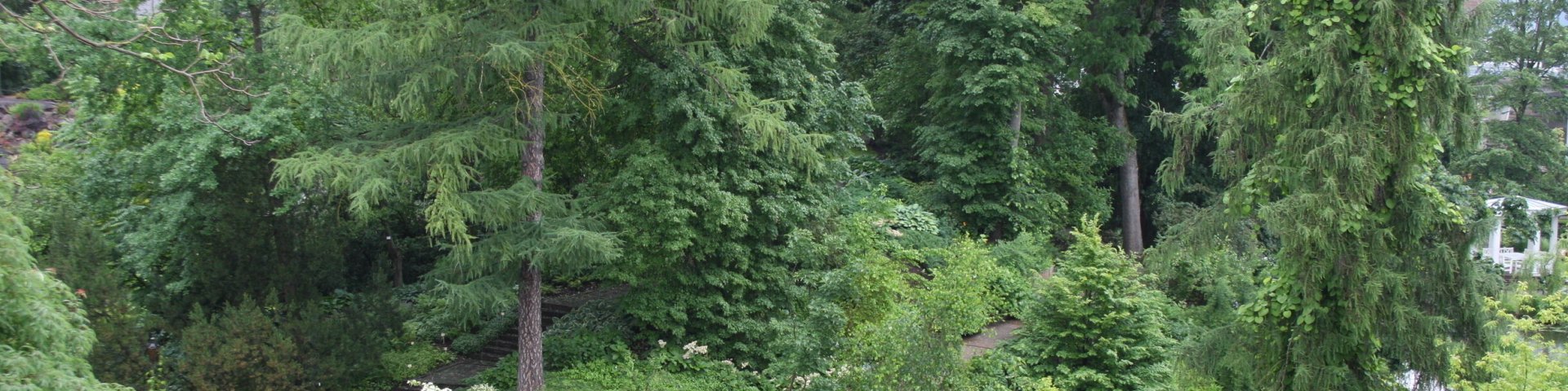 Dendropark