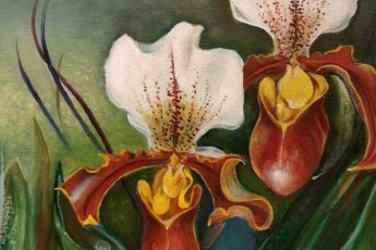 Orhideemaal